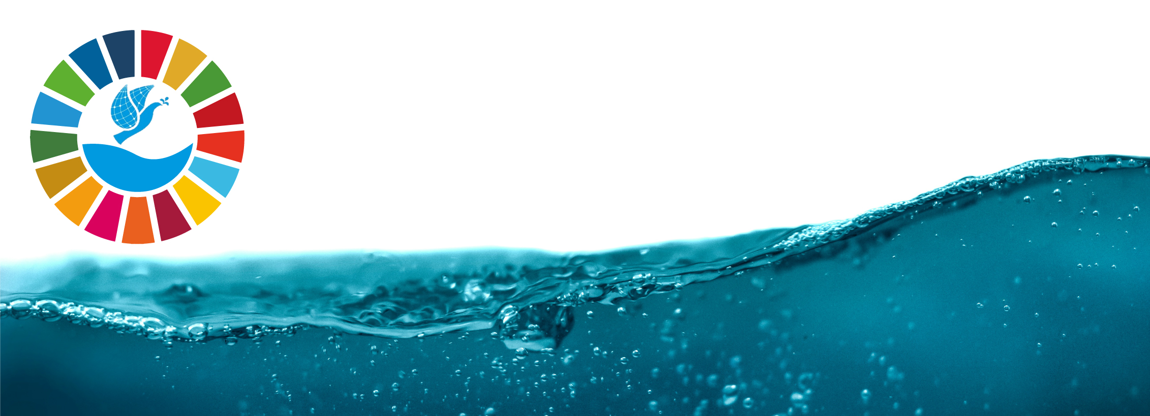 webinar Dia Mundial da Água 2024