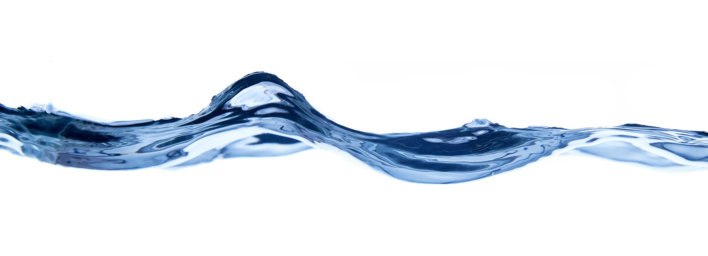 Seminário de Física - Fluidos activos quirais e reologia complexa de biosuspensões