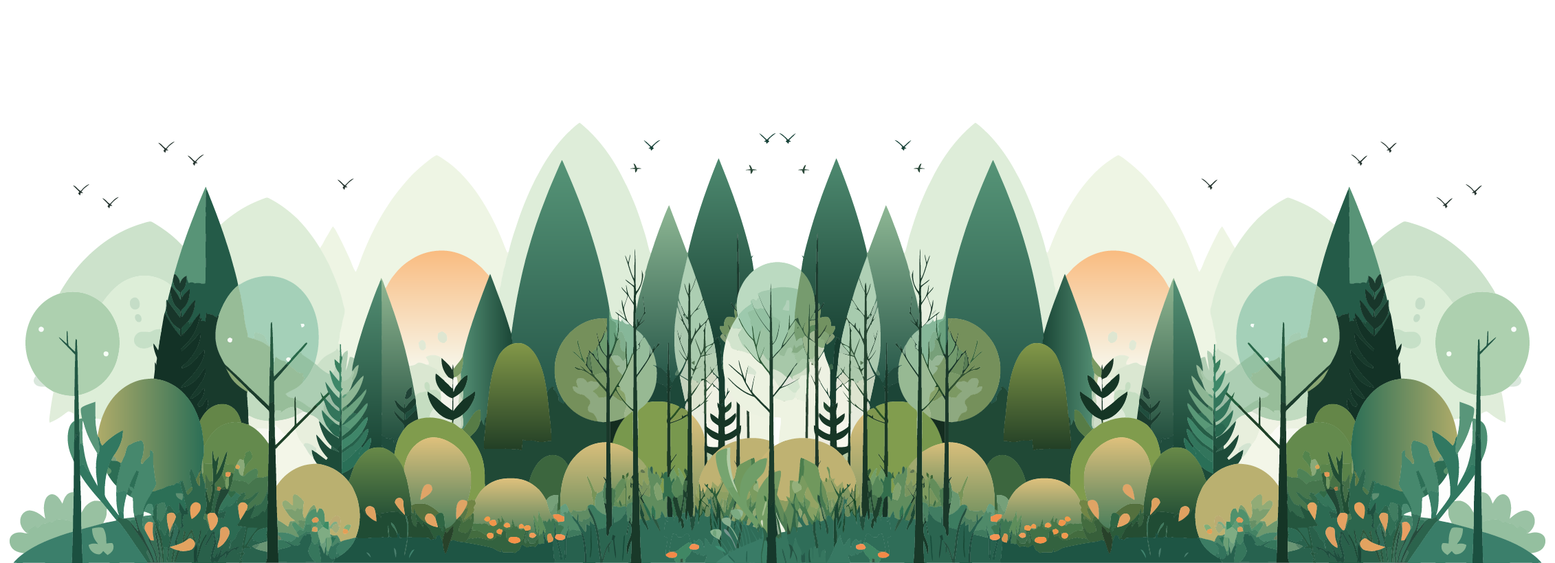 Comemoração do dia da floresta autóctone 2025