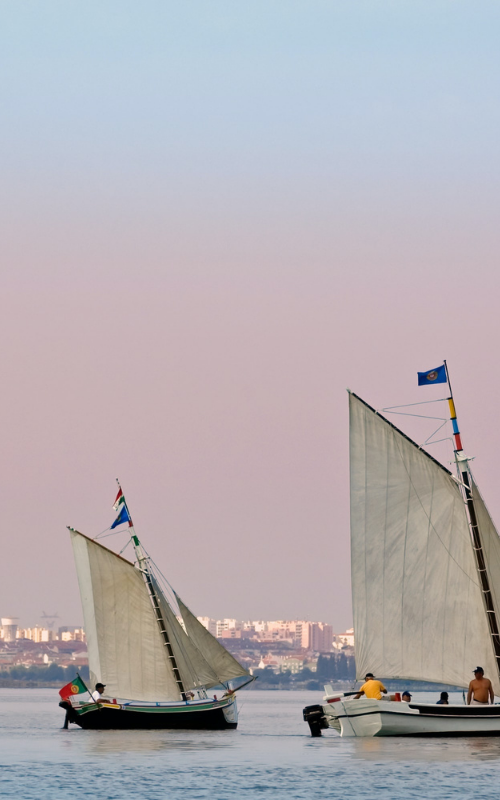 Tejo