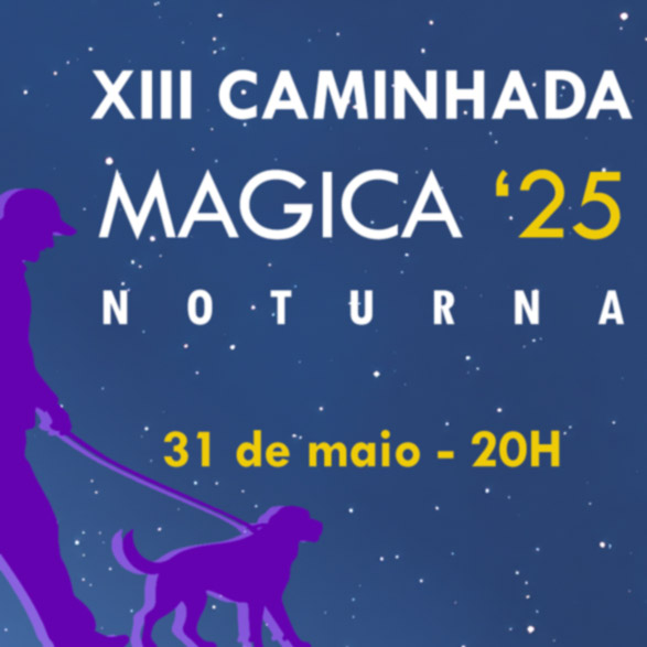 Caminhada noturna WAI