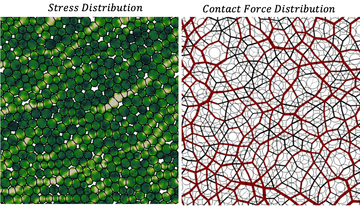 Effects of grain shape and deformability  on the behavior of granular materials