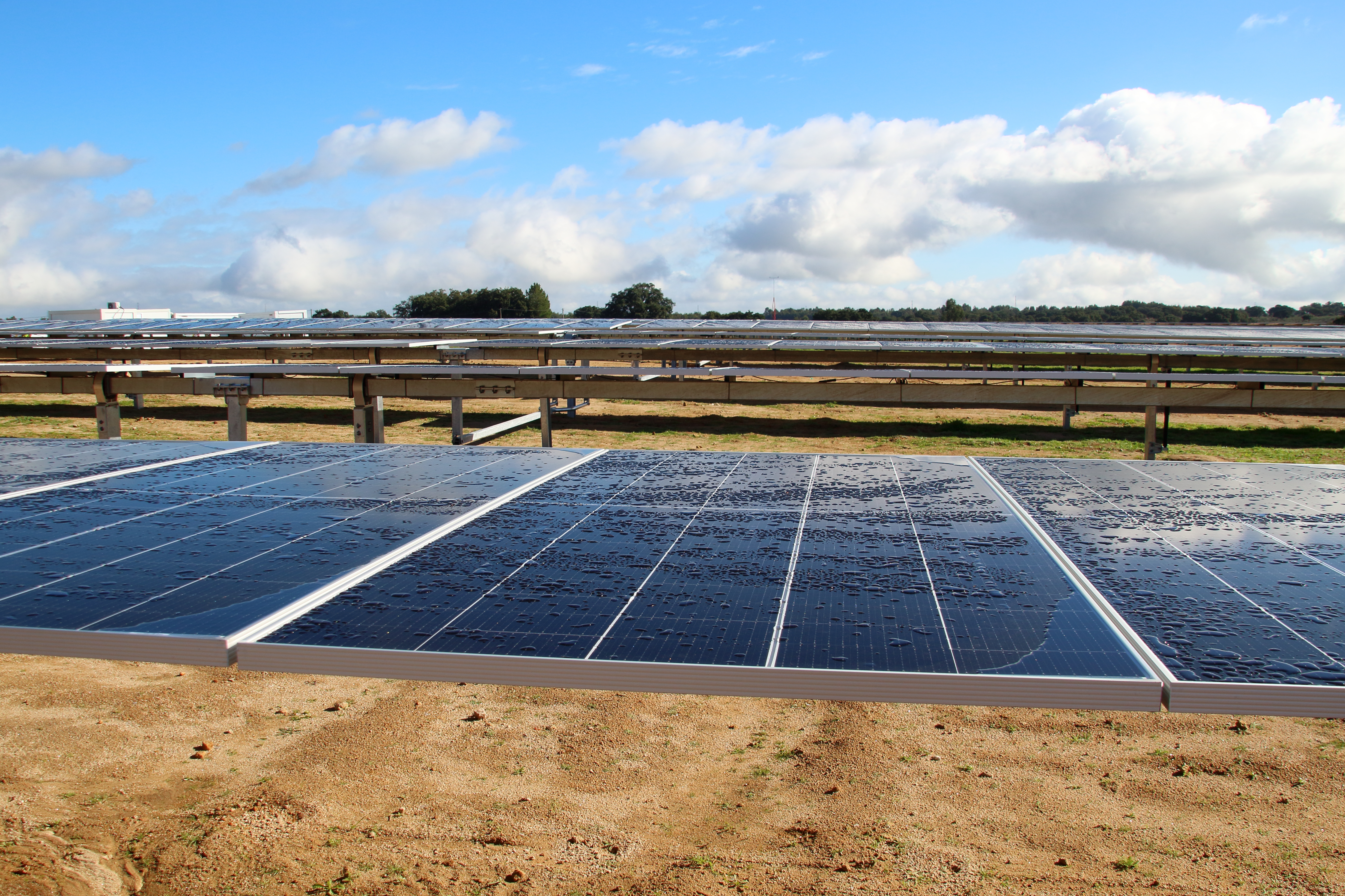 Estudantes de Engenharia Eletrotécnica realizam visita técnica a um parque fotovoltaico 