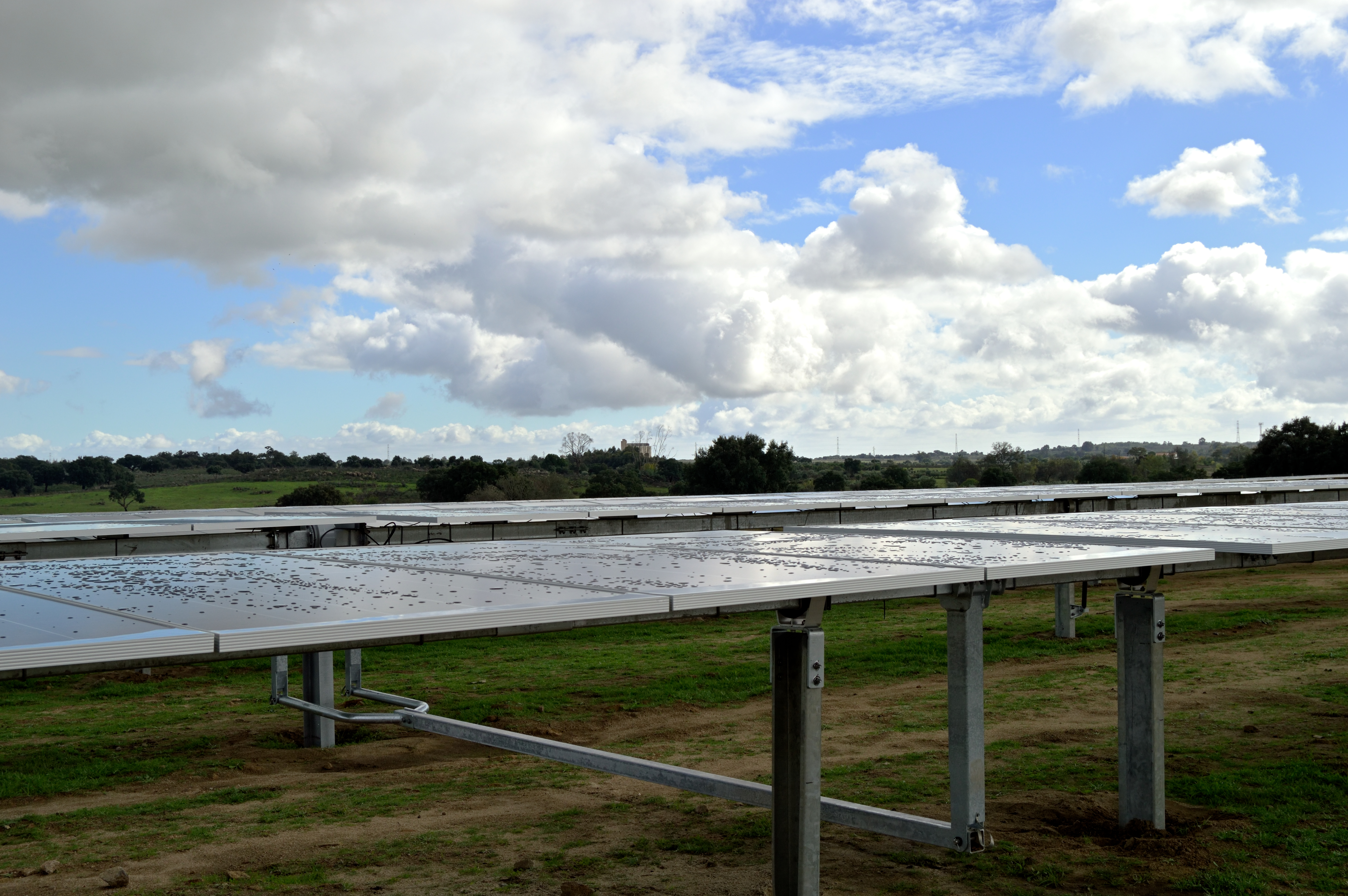 Estudantes de Engenharia Eletrotécnica realizam visita técnica a um parque fotovoltaico 