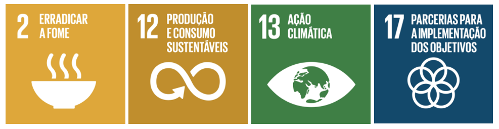 ODS 2, 12, 13 e 17