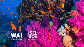 Exposição - Um Oceano