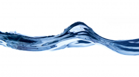 Seminário de Física - Fluidos activos quirais e reologia complexa de biosuspensões