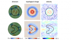 Spontaneous rotation and propulsion of suspended capsules in active nematics