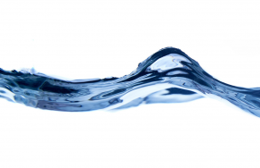 Seminário de Física - Fluidos activos quirais e reologia complexa de biosuspensões