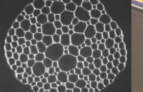Bolhas, ladrilhos e a catástrofe da salsicha