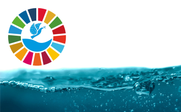 webinar Dia Mundial da Água 2024