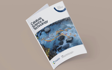  Artigo da Professora Elisabete Alegria na Capa da Catalysis Science & Technology