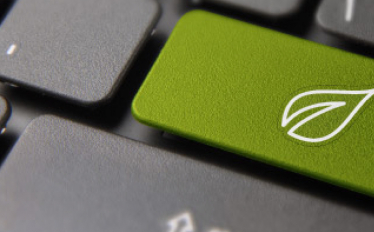 inquérito pegada ecológica 2024/2025