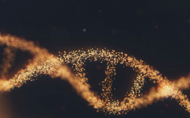 ISEL participa no projeto TRACI 