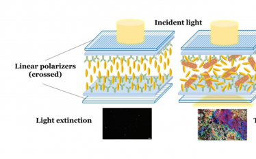 Seminário de Física - Aplicações ópticas de cristais líquidos