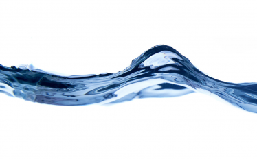 Seminário de Física - Fluidos activos quirais e reologia complexa de biosuspensões