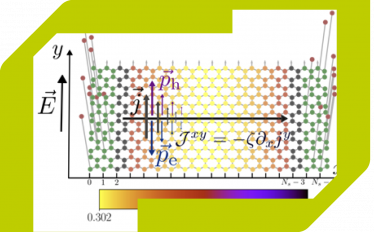 Seminário de Física - Hydrodynamics of particle-hole symmetric systems: a combined kinetic theory and Quantum Monte Carlo approach